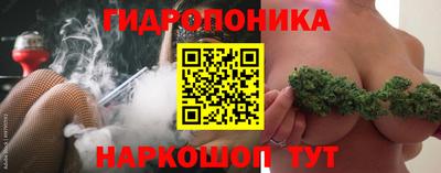 дживик Лесосибирск